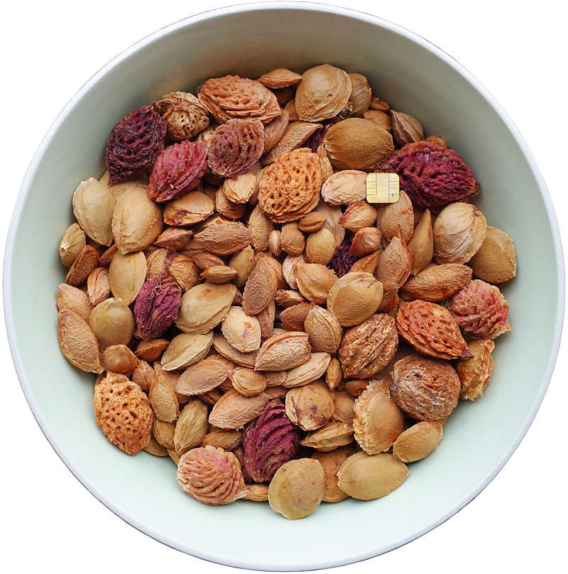 149 Gesichtserkennung