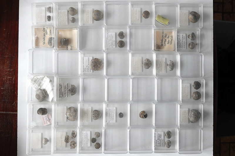 184 Sammlung 01 Hans J. Jungheim