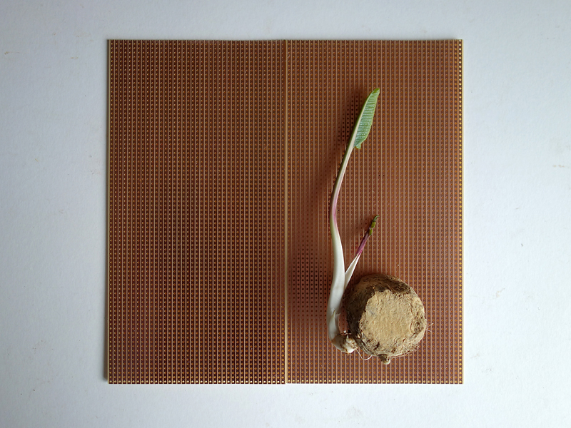 189 Die rtselhafte Evolution der KI