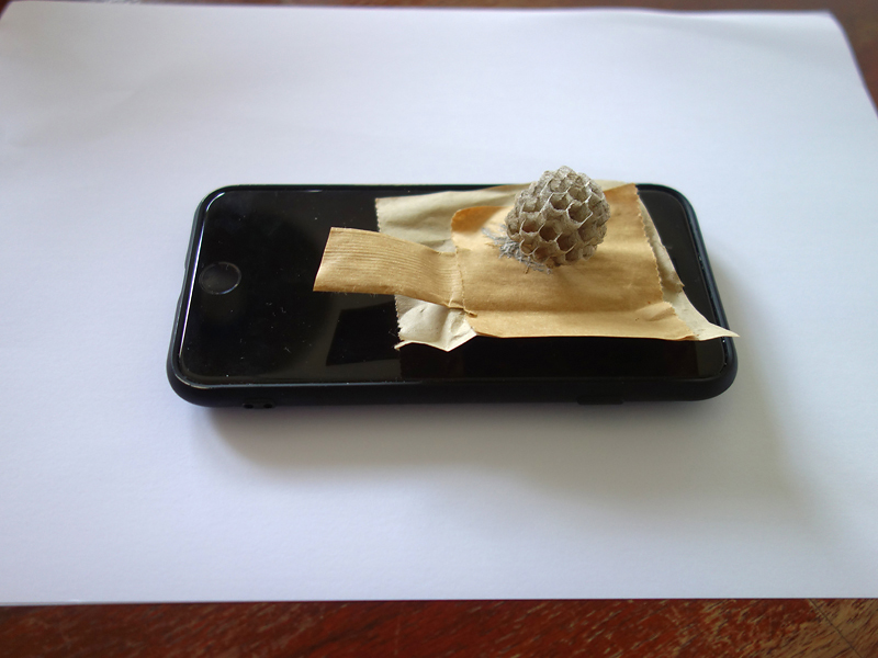 191 Das Observatorium in den Bergen IV 