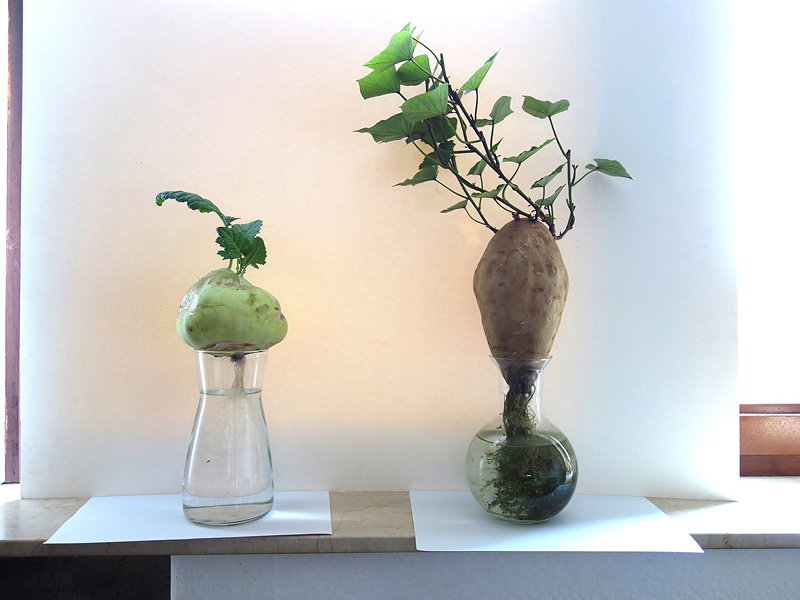 284 Temporres Objekt