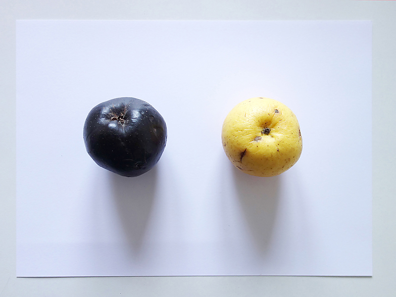 304 Du replizierst Dich ja nur noch selbst