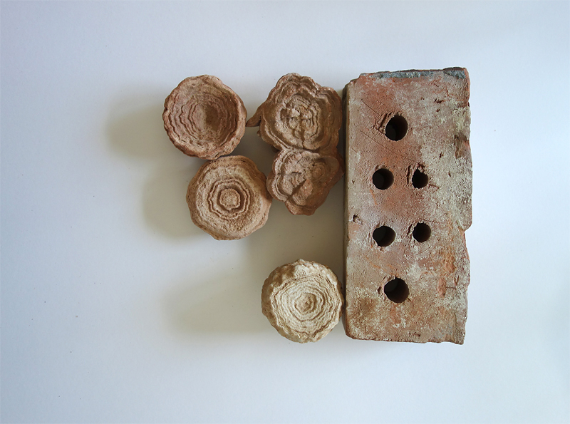 309 Die Vermhlung der Stromalithen mit einem gemeinen Ziegel  