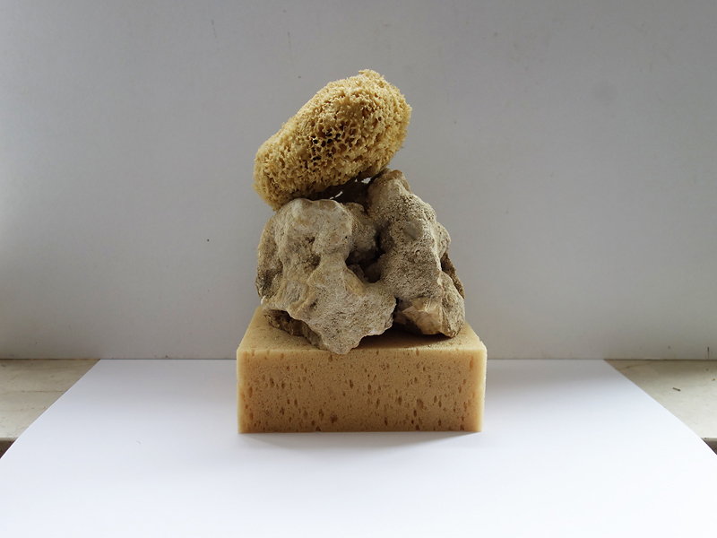 311 H2O Atmung - Wasser aufnehmen, Wasser abgeben