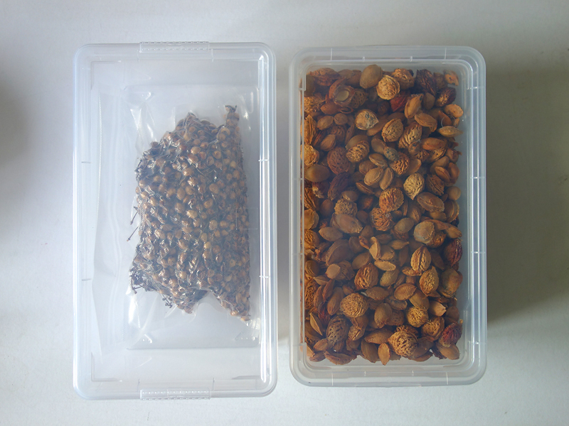 317 Vorrat VI - 2024