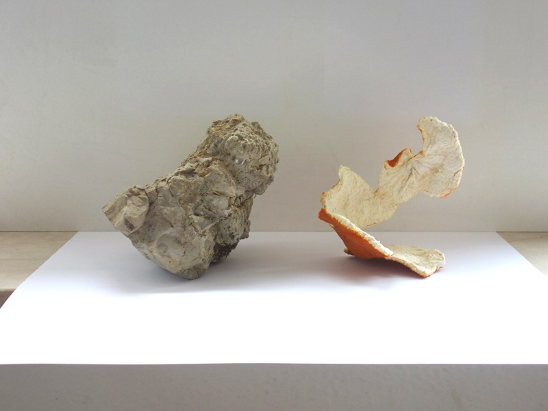 310 Annherung der Formen