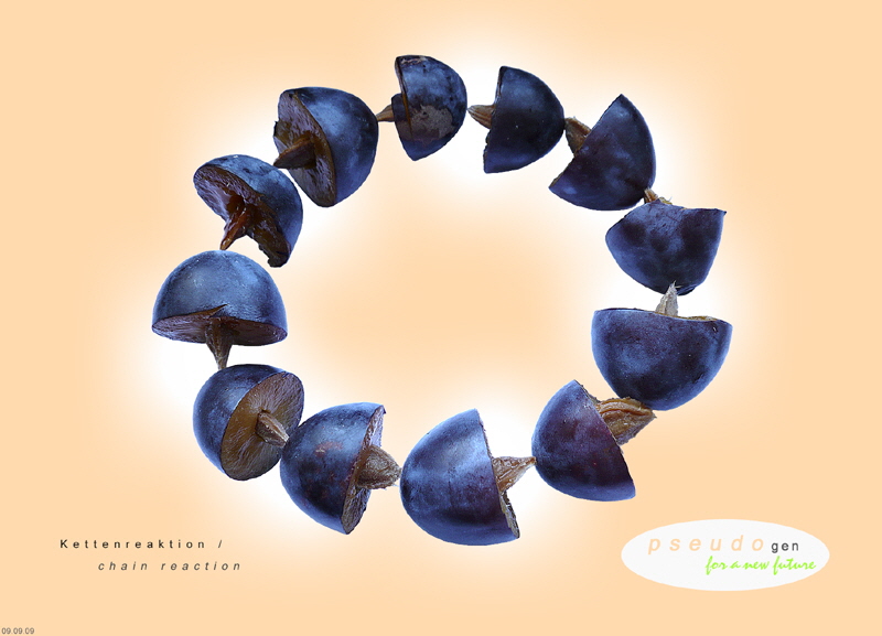0049 pseudogen