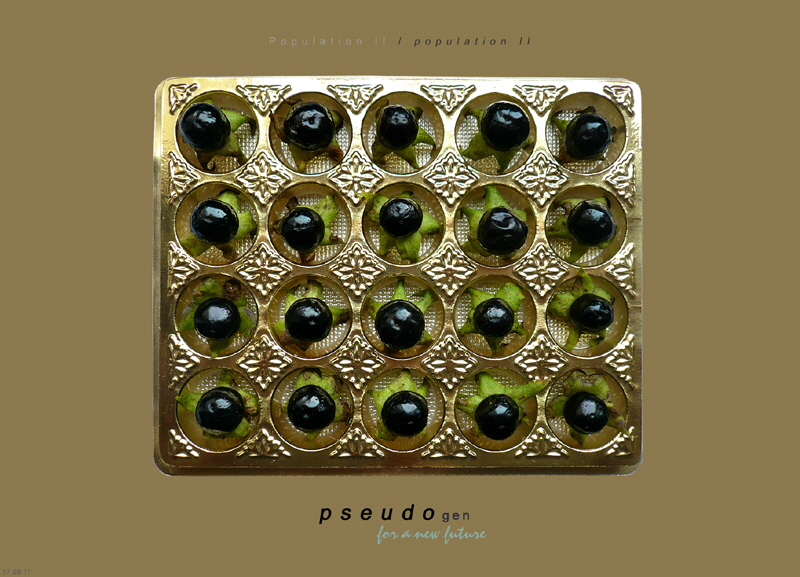 0119 pseudogen