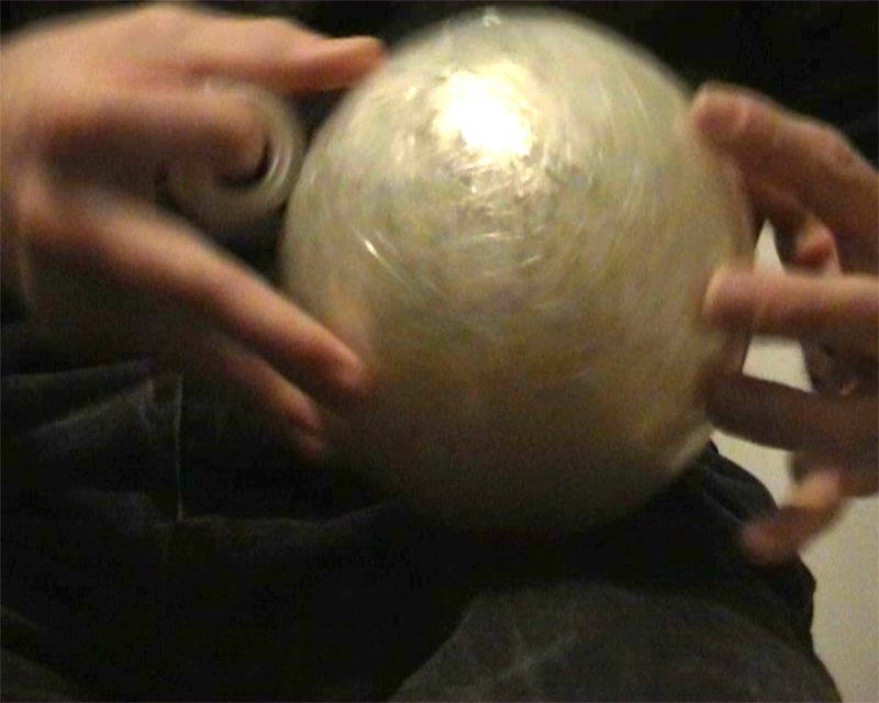 genetic fingerprint 008b